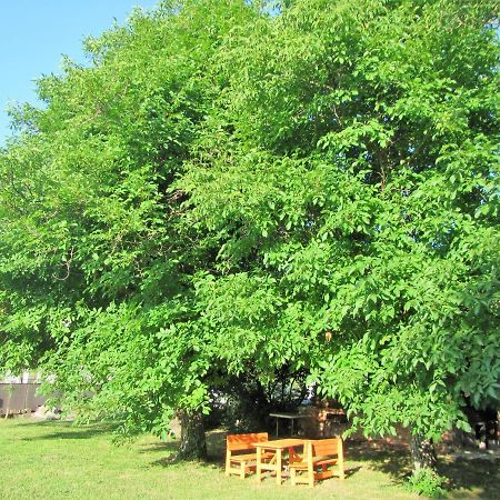 Pod Orehi Bed & Breakfast Postojna Dış mekan fotoğraf