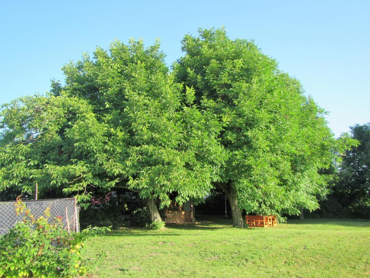 Pod Orehi Bed & Breakfast Postojna Dış mekan fotoğraf
