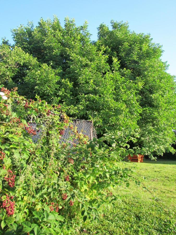 Pod Orehi Bed & Breakfast Postojna Dış mekan fotoğraf