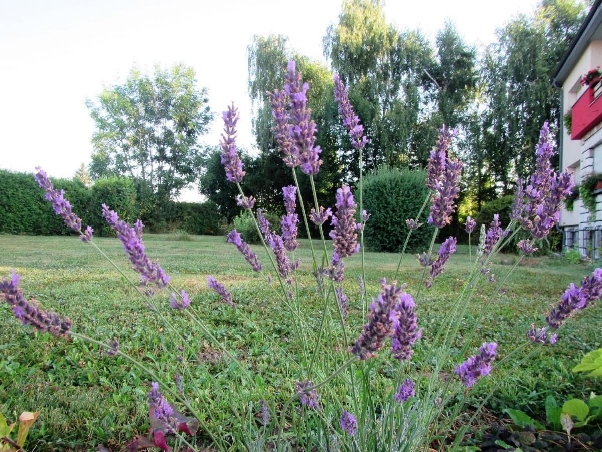 Pod Orehi Bed & Breakfast Postojna Dış mekan fotoğraf