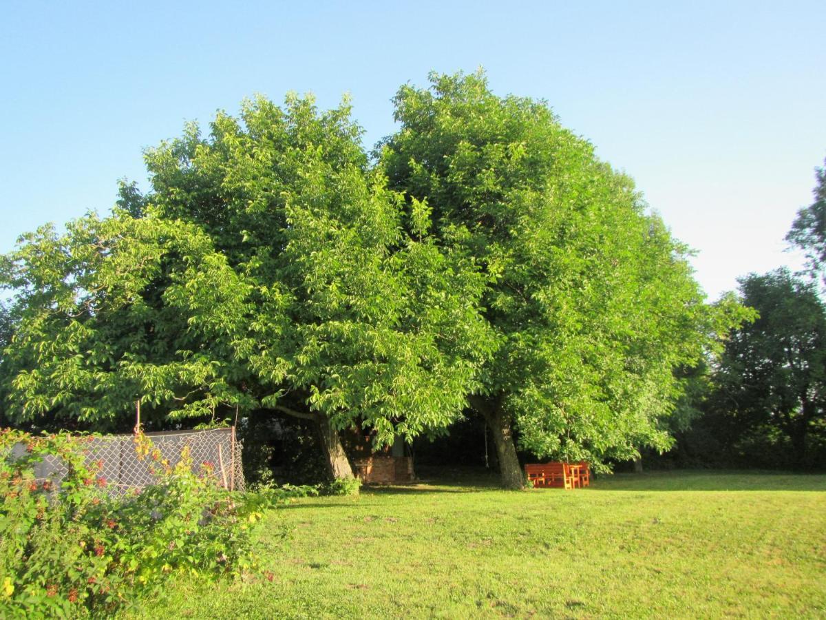 Pod Orehi Bed & Breakfast Postojna Dış mekan fotoğraf