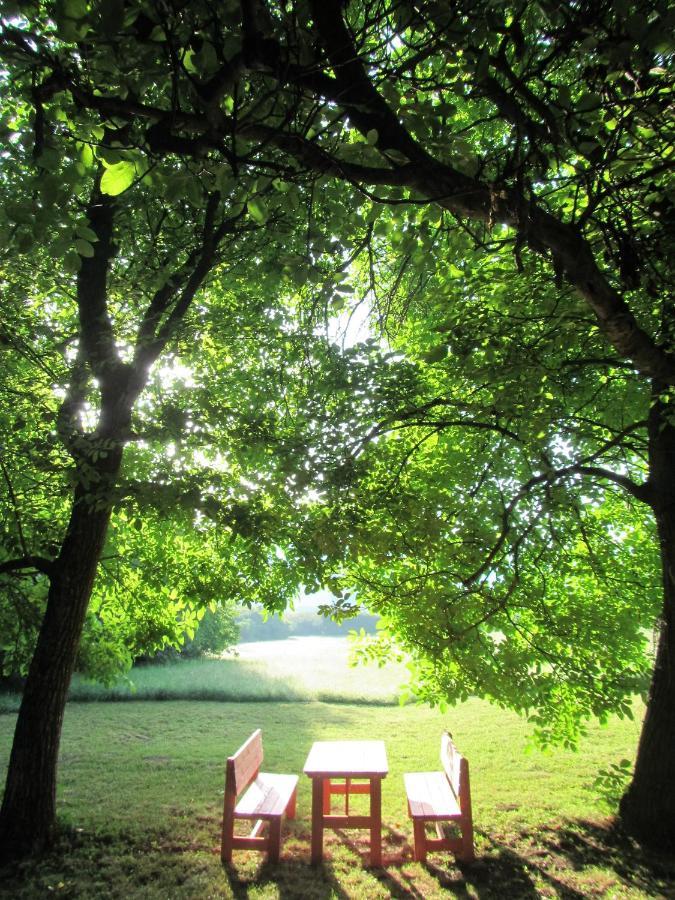 Pod Orehi Bed & Breakfast Postojna Dış mekan fotoğraf