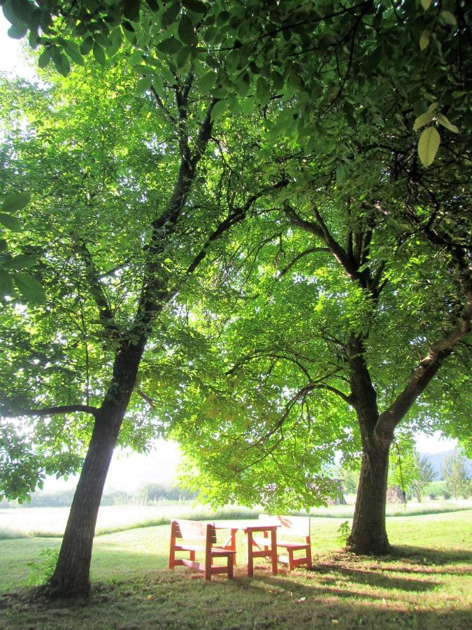 Pod Orehi Bed & Breakfast Postojna Dış mekan fotoğraf