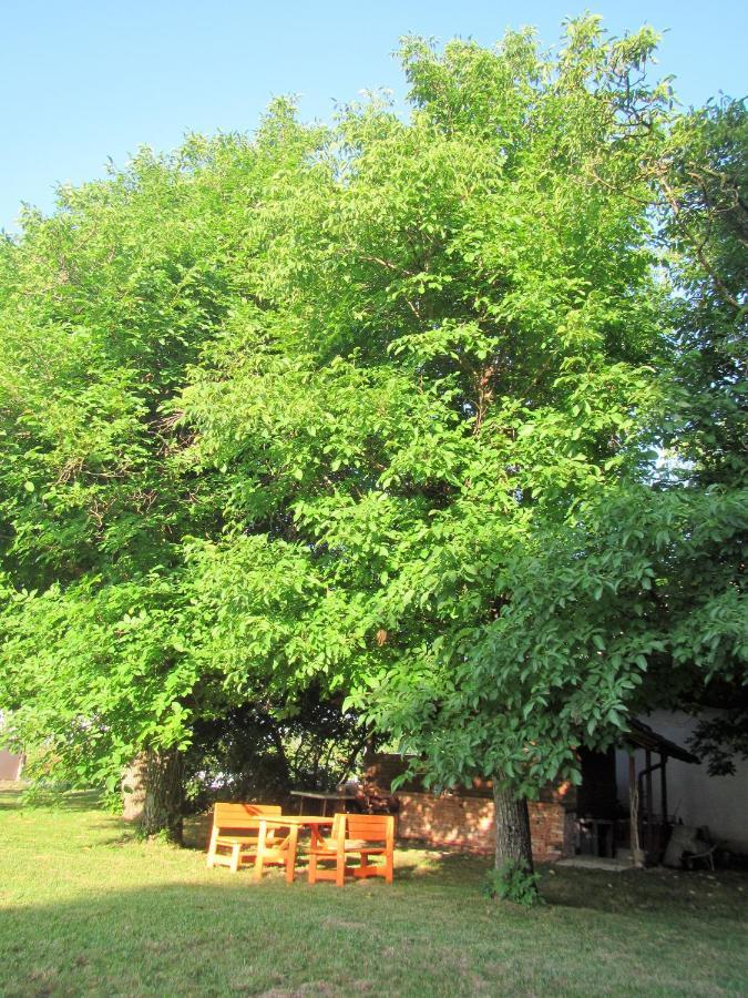 Pod Orehi Bed & Breakfast Postojna Dış mekan fotoğraf