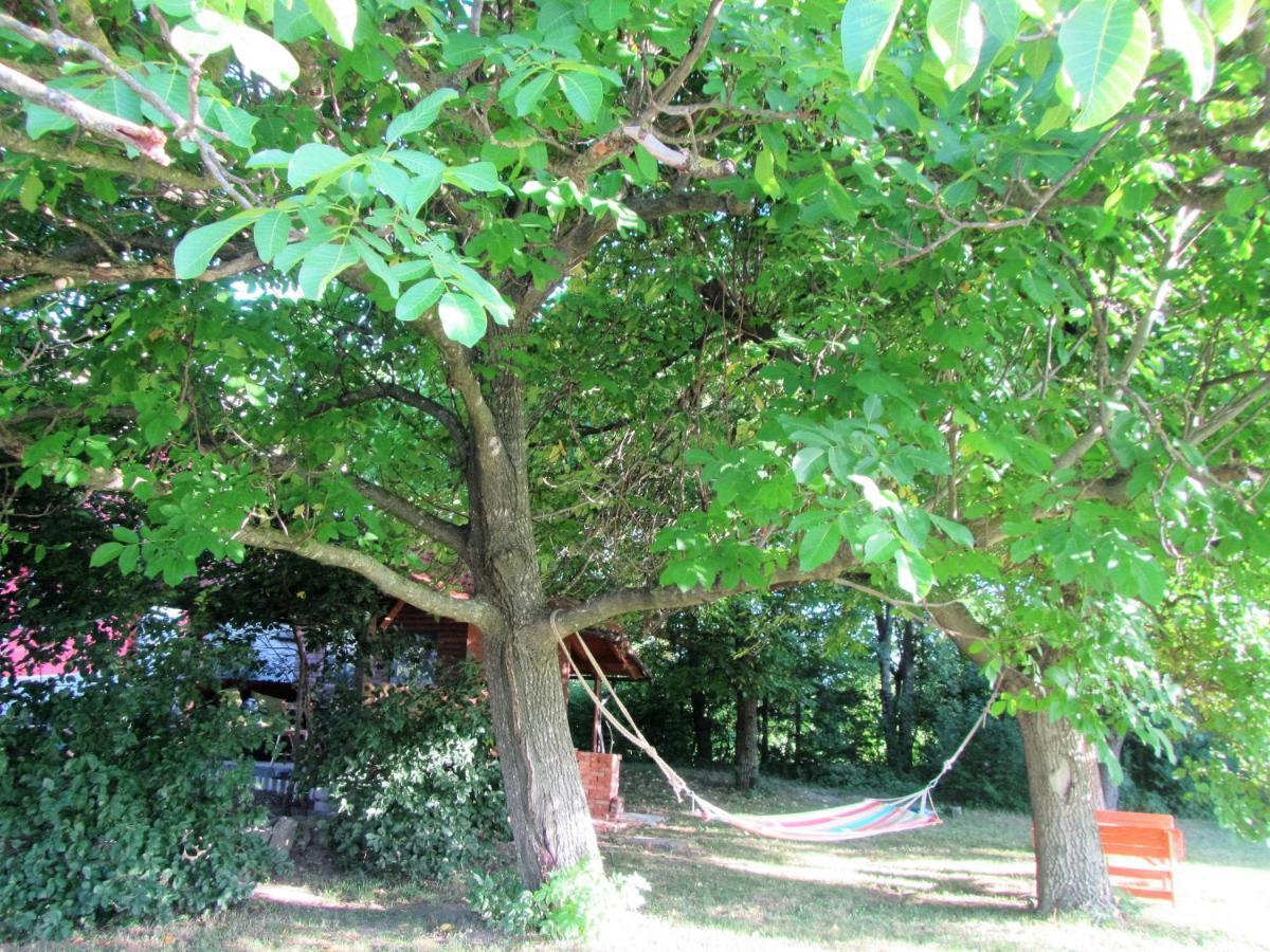 Pod Orehi Bed & Breakfast Postojna Dış mekan fotoğraf
