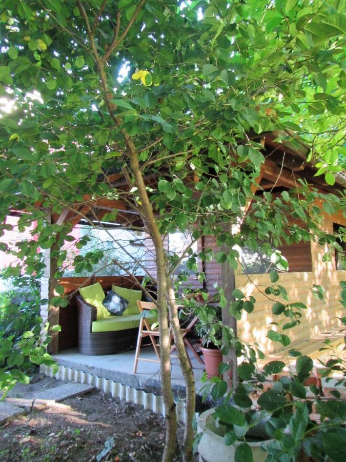 Pod Orehi Bed & Breakfast Postojna Dış mekan fotoğraf