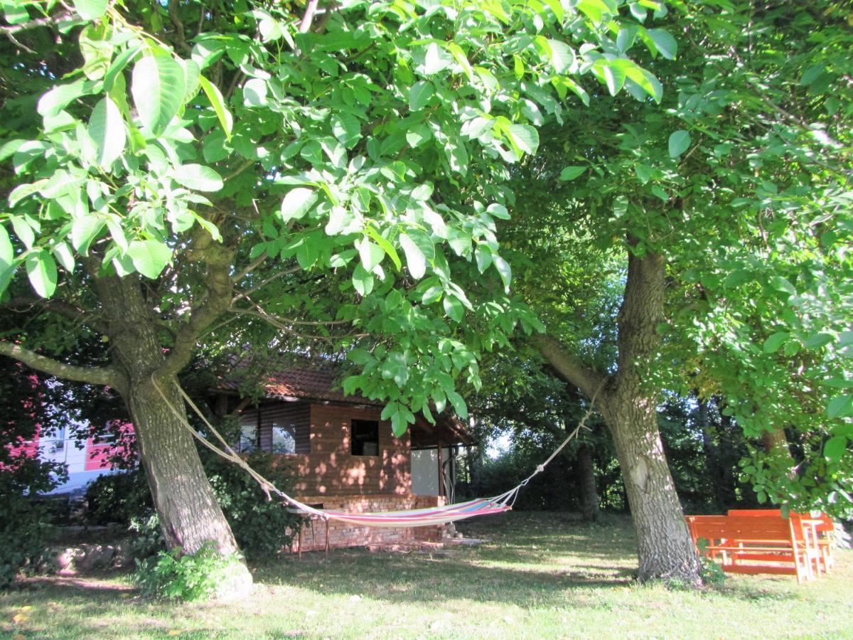 Pod Orehi Bed & Breakfast Postojna Dış mekan fotoğraf