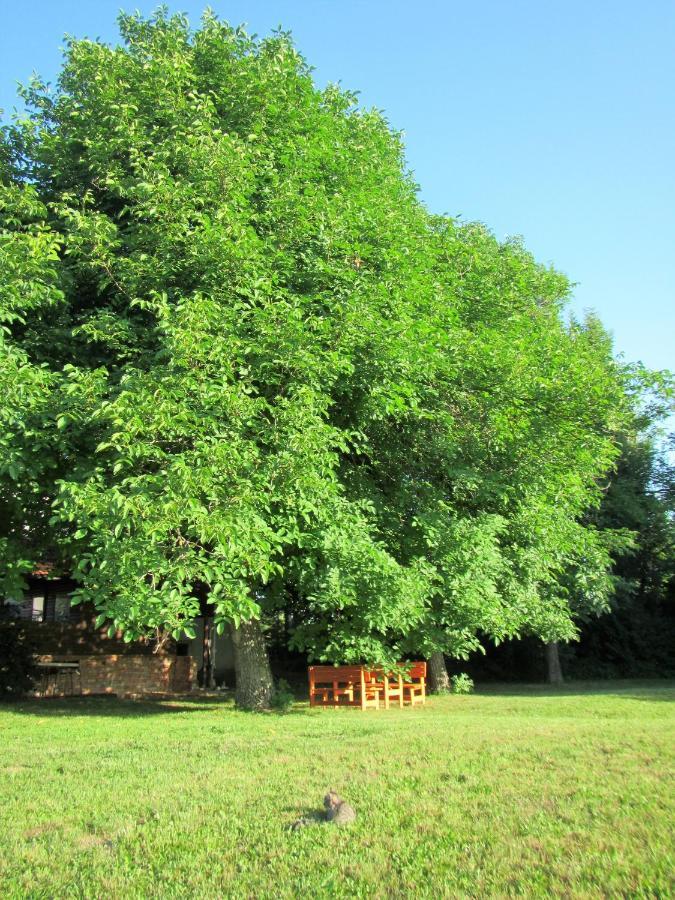 Pod Orehi Bed & Breakfast Postojna Dış mekan fotoğraf